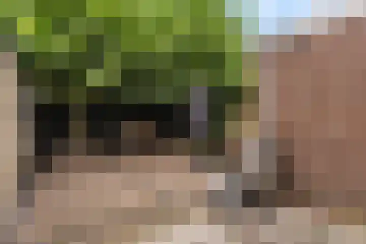 Andringasingel 17 Oentsjerk thumbnail 41