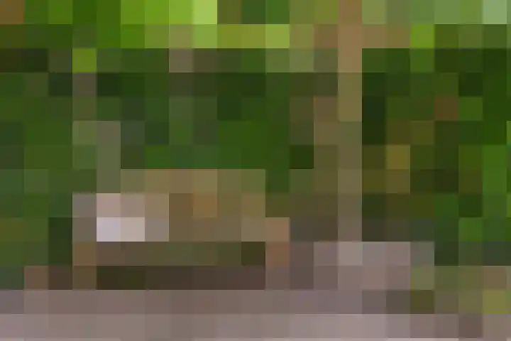 Andringasingel 17 Oentsjerk thumbnail 43