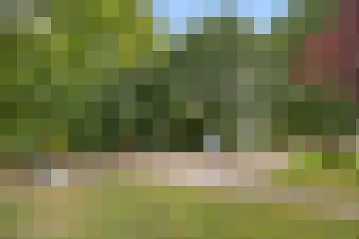 Andringasingel 17 Oentsjerk thumbnail 44