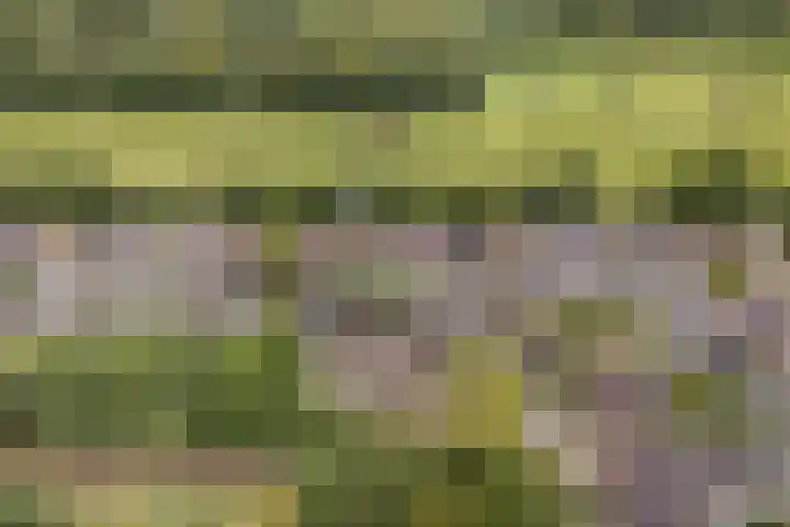 Andringasingel 17 Oentsjerk thumbnail 8