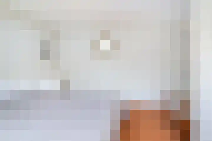 Andringasingel 37 Oentsjerk thumbnail 21
