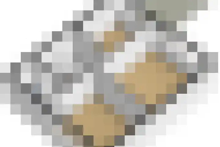 Andringasingel 37 Oentsjerk thumbnail 44