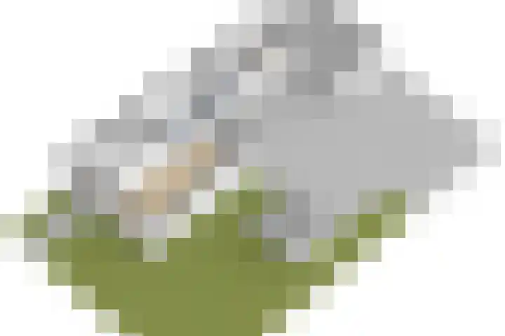 Andringasingel 37 Oentsjerk thumbnail 47