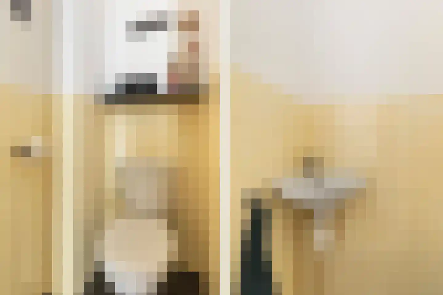 Andringastate 27 Leeuwarden thumbnail 37