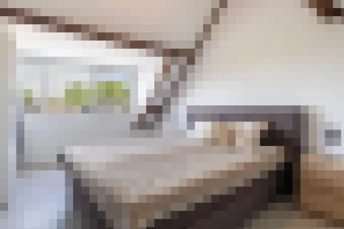 Andringastate 27 Leeuwarden thumbnail 48