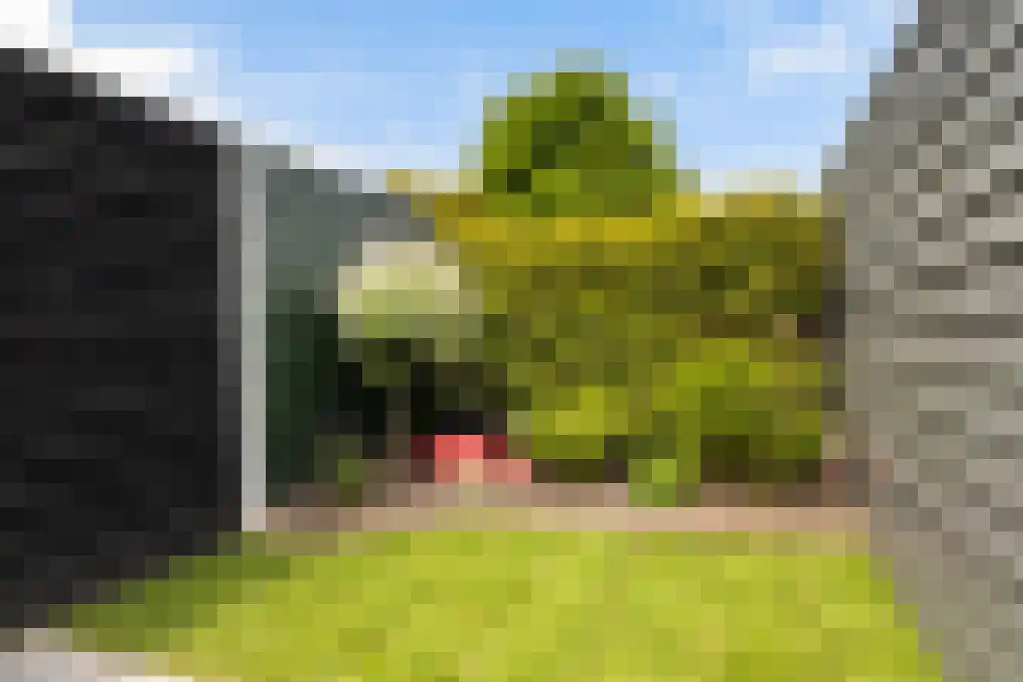 Andringastate 27 Leeuwarden thumbnail 7