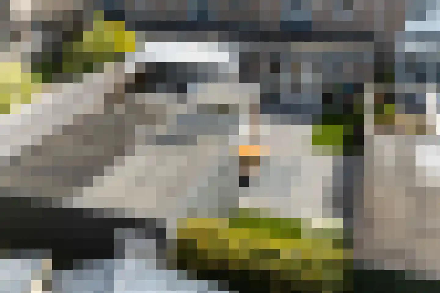 Andringastate 27 Leeuwarden thumbnail 9