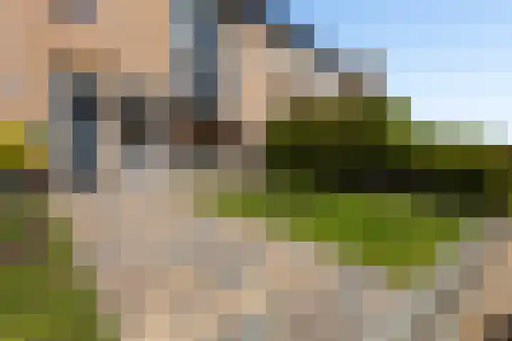 Andringastate 29 Leeuwarden thumbnail 5