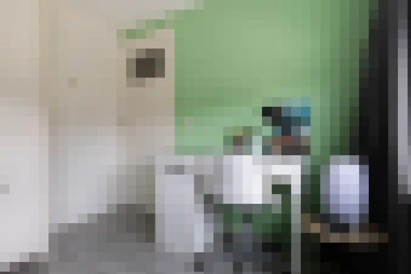 Andringastrjitte 14 Marsum thumbnail 20