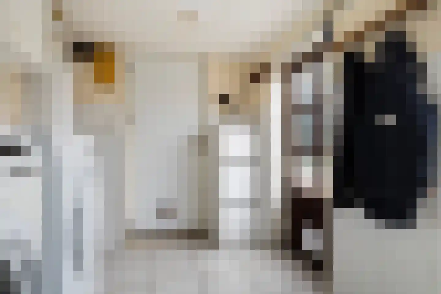 Andringastrjitte 14 Marsum thumbnail 25