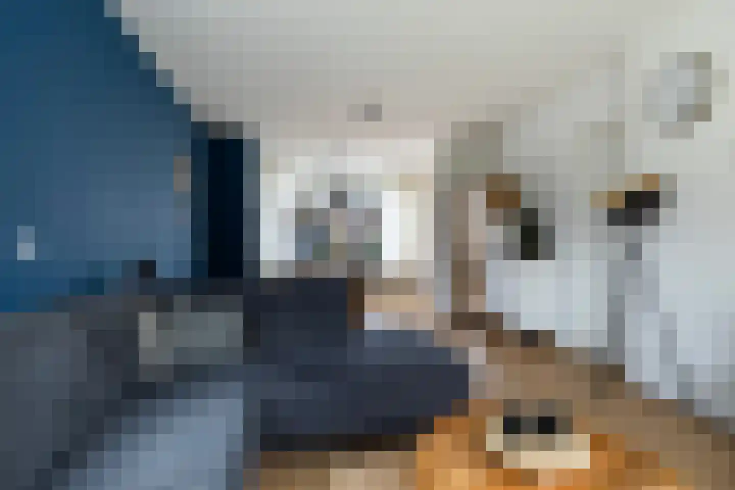 Andringastrjitte 14 Marsum thumbnail 4