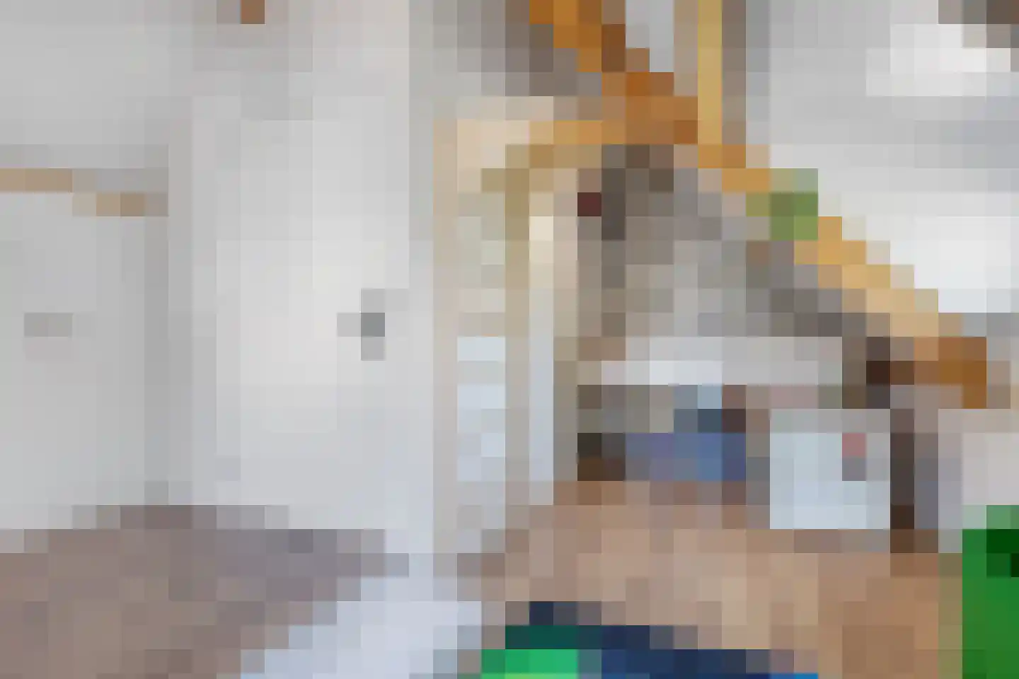 Andringastrjitte 31 Aldeboarn thumbnail 39