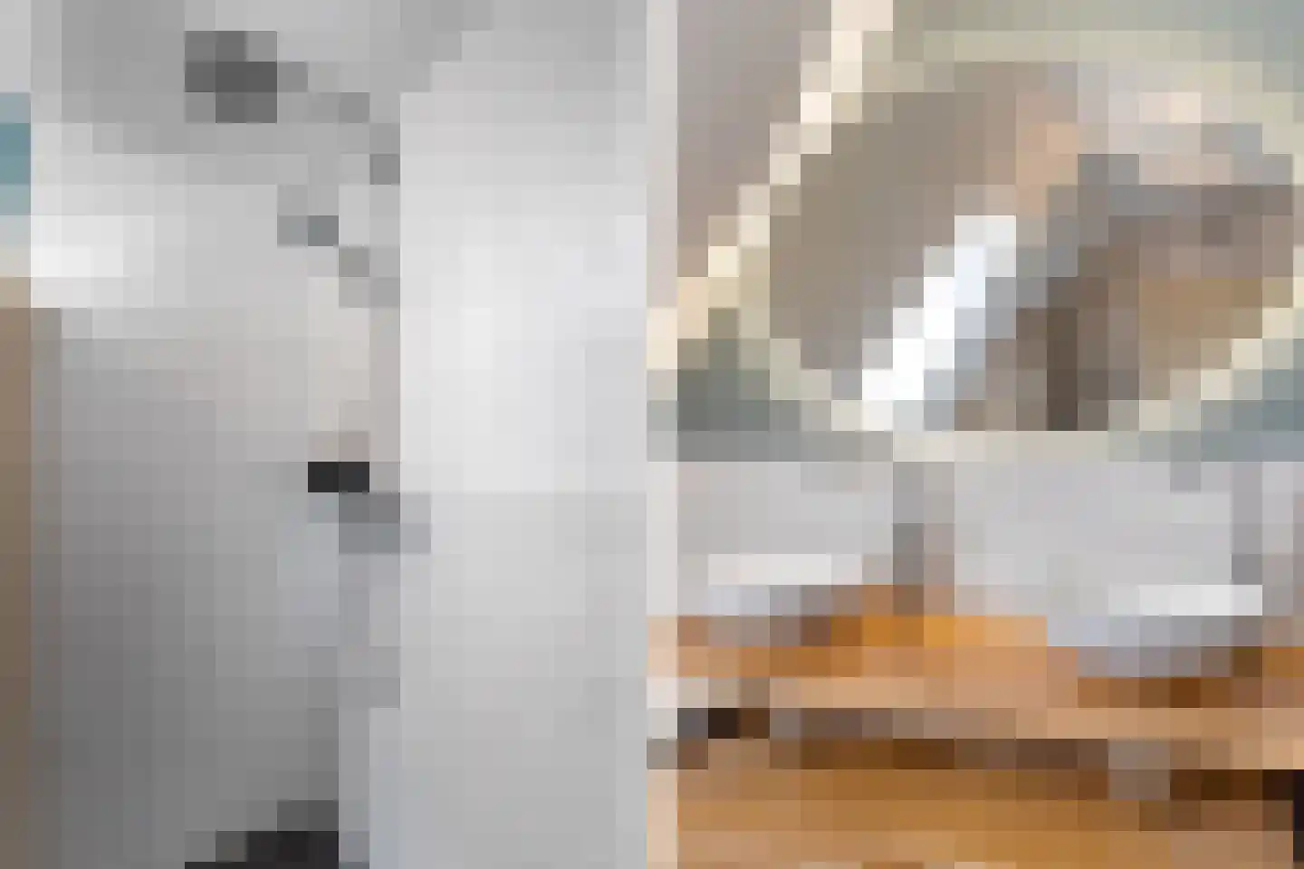 Andringastrjitte 31 Aldeboarn thumbnail 44