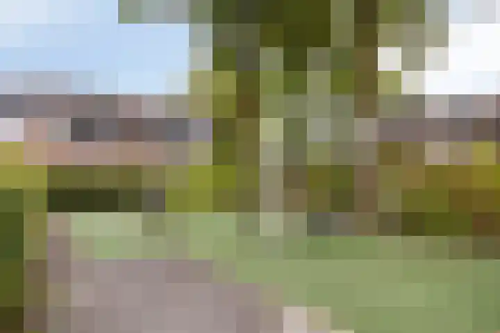 Andromeda 39 Loon op Zand thumbnail 36