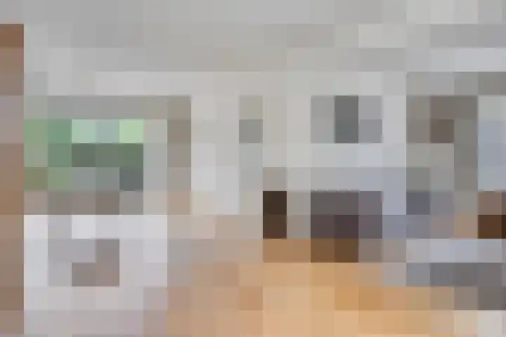 Andromeda 39 Loon op Zand thumbnail 9