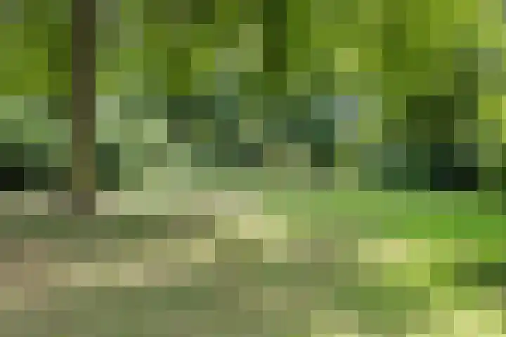 Andromeda 4 Den Helder thumbnail 11