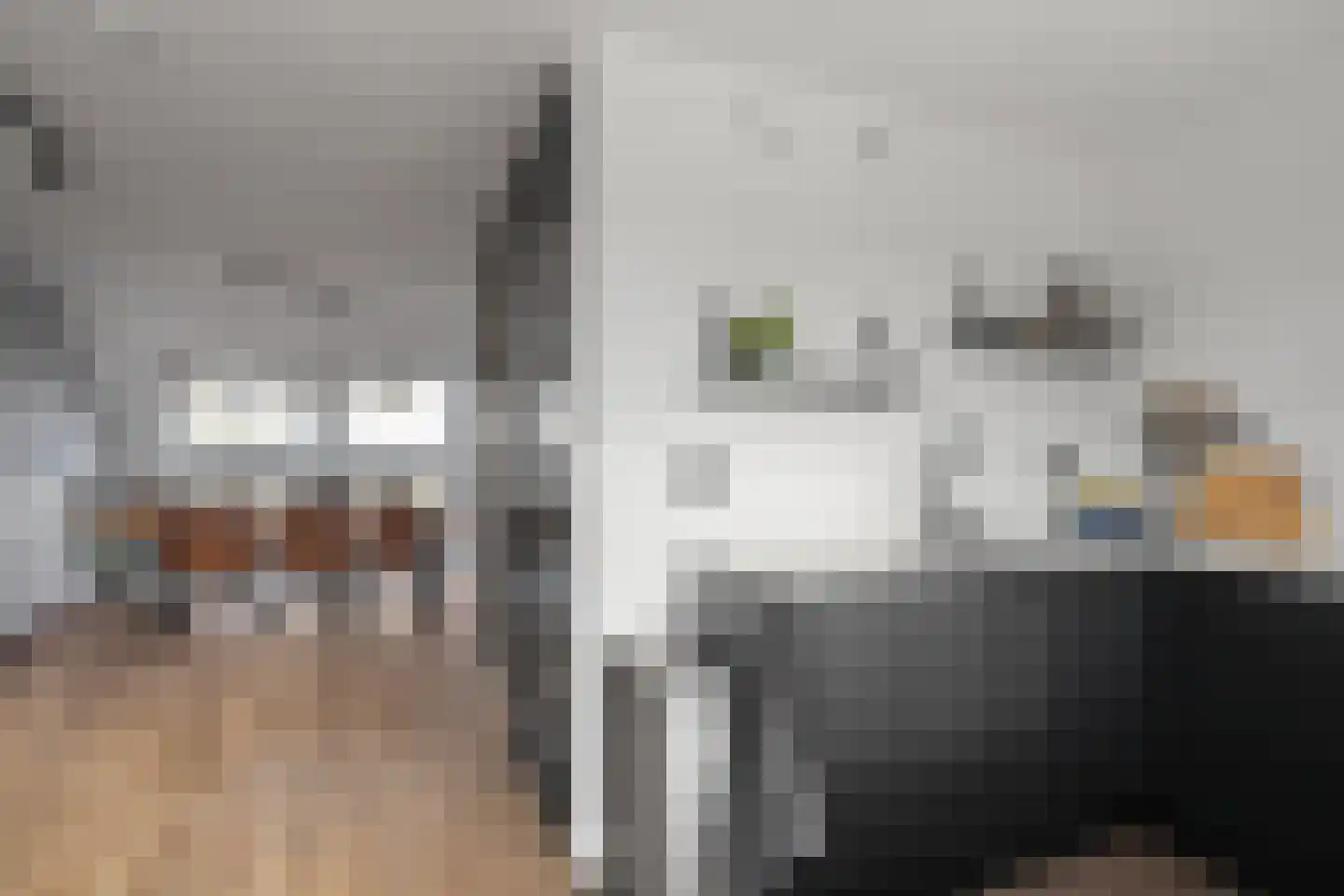 Andromeda 4 Den Helder thumbnail 15