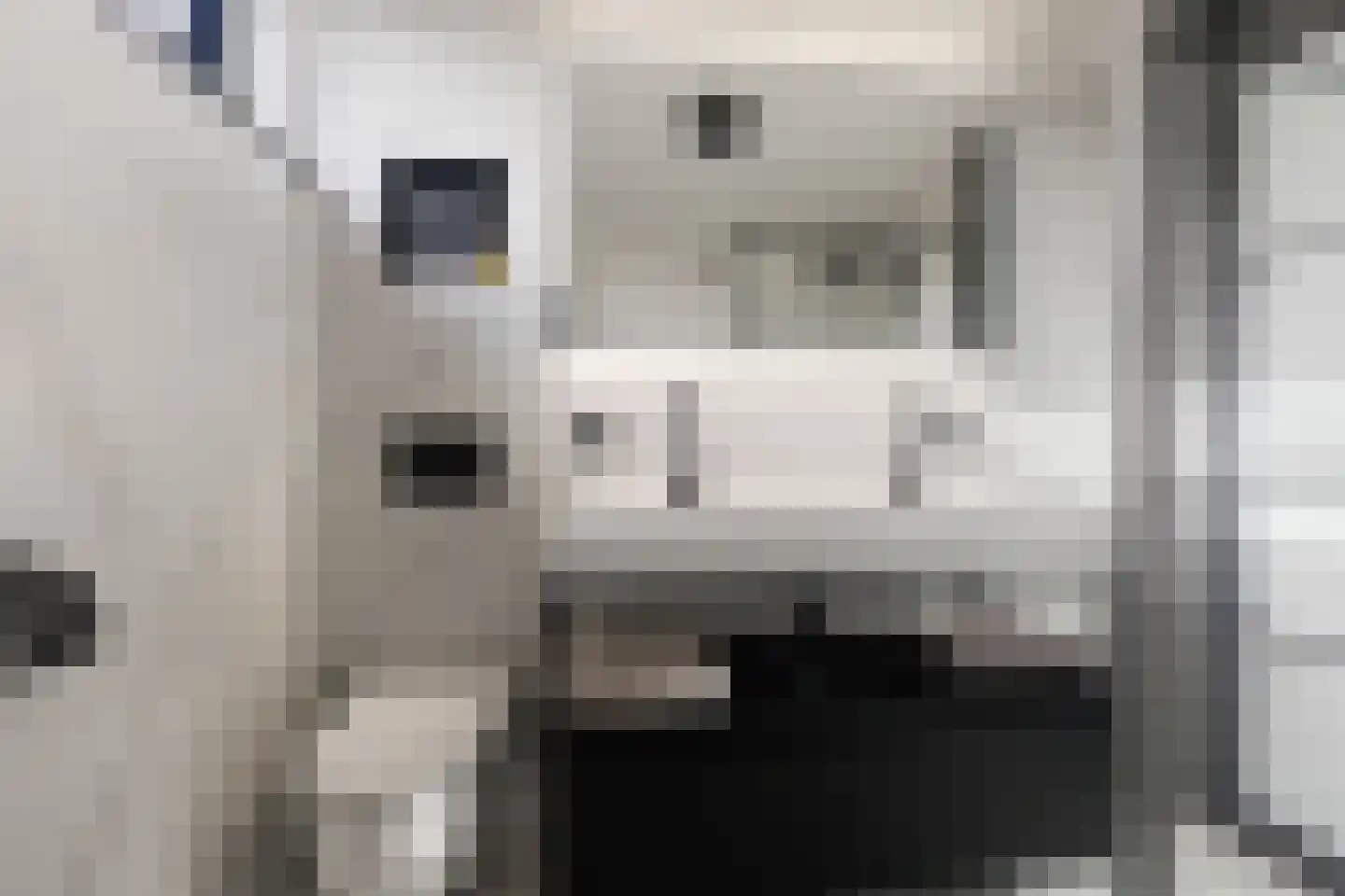 Andromeda 4 Den Helder thumbnail 23