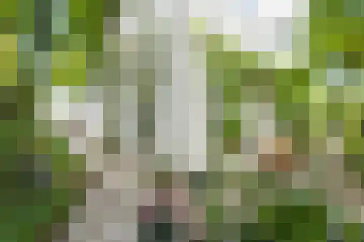 Andromeda 5 Veldhoven thumbnail 33
