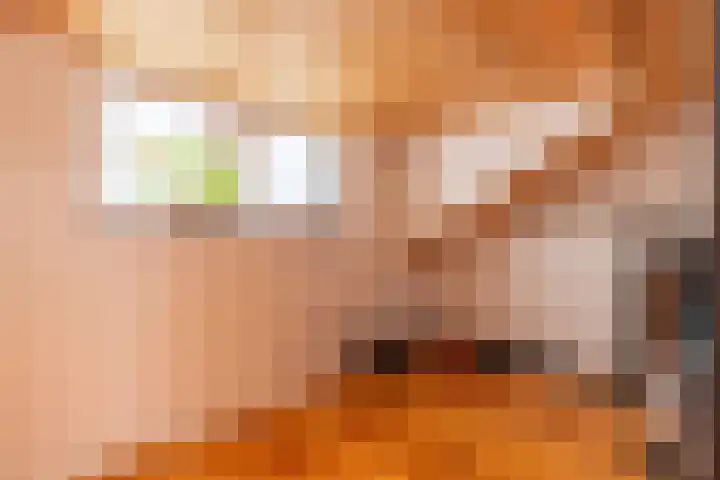 Andromeda 55 Aalten thumbnail 19