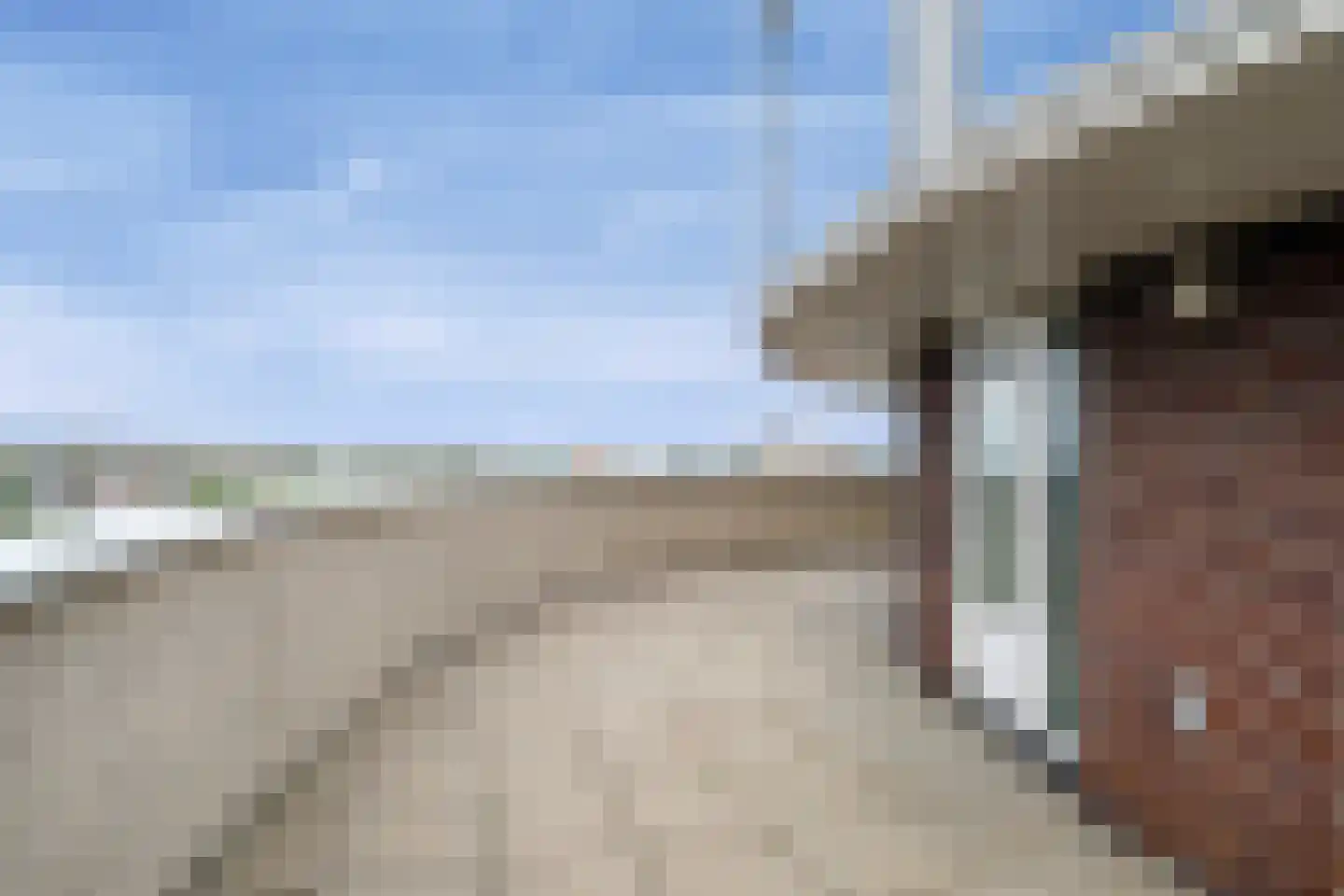 Andromeda 63 Den Helder thumbnail 53