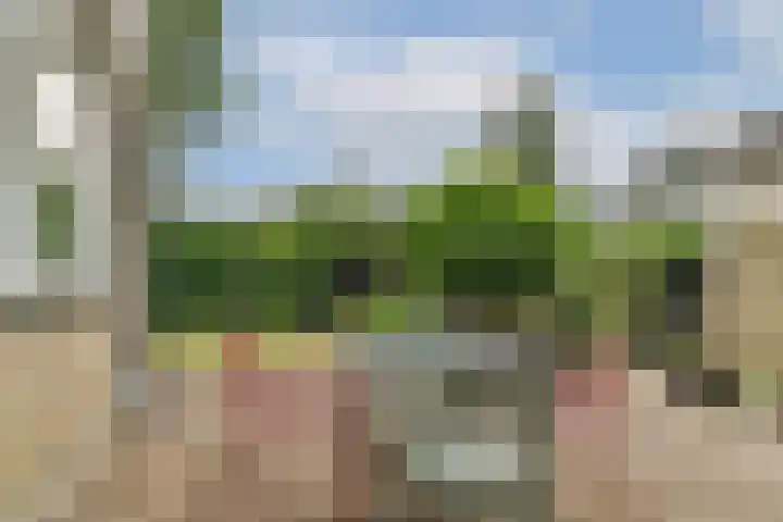 Andromedaring 18 Dordrecht thumbnail 18