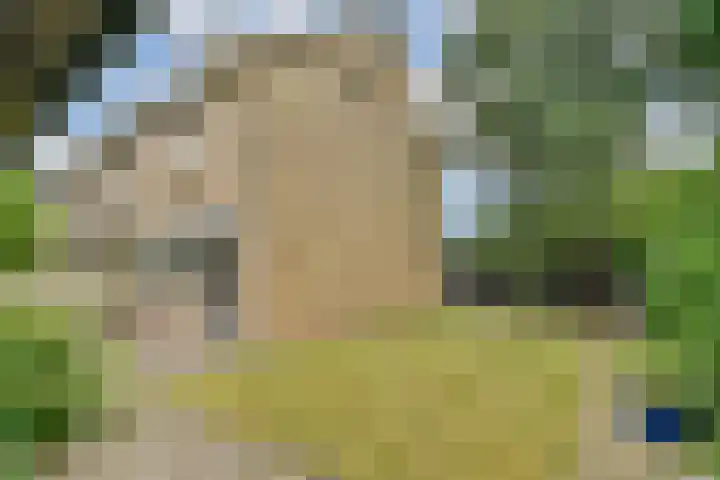 Andromedaring 18 Dordrecht thumbnail 19