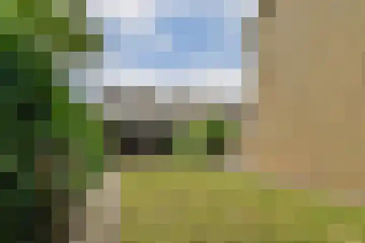 Andromedaring 18 Dordrecht thumbnail 20