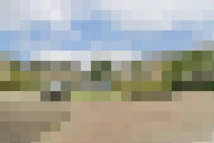 Andromedaring 18 Dordrecht thumbnail 39