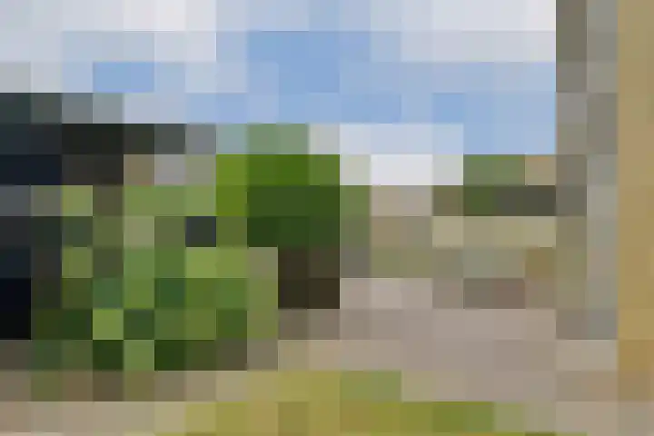 Andromedaring 18 Dordrecht thumbnail 4