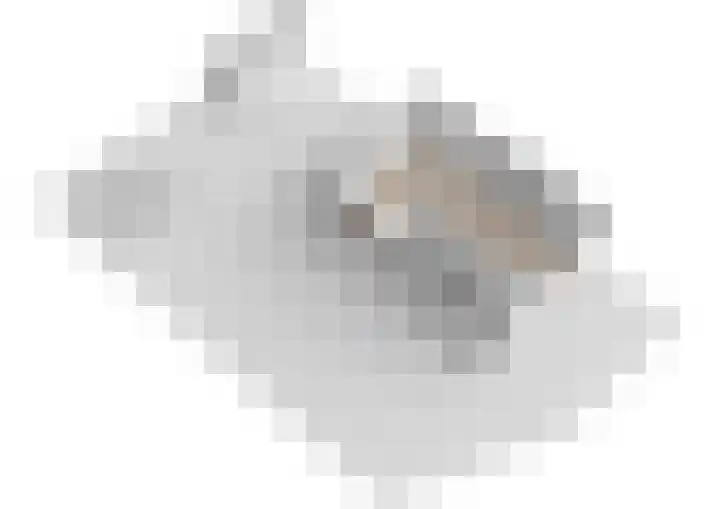 Andromedaring 18 Dordrecht thumbnail 48