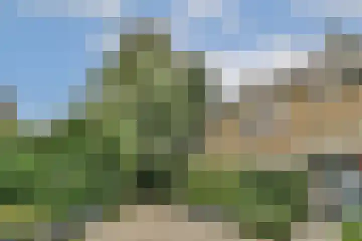 Andromedaring 18 Dordrecht thumbnail 7