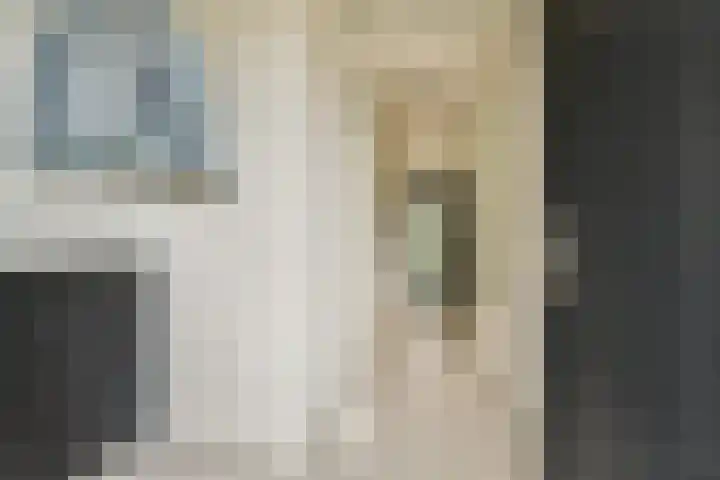 Andromedaring 18 Dordrecht thumbnail 8