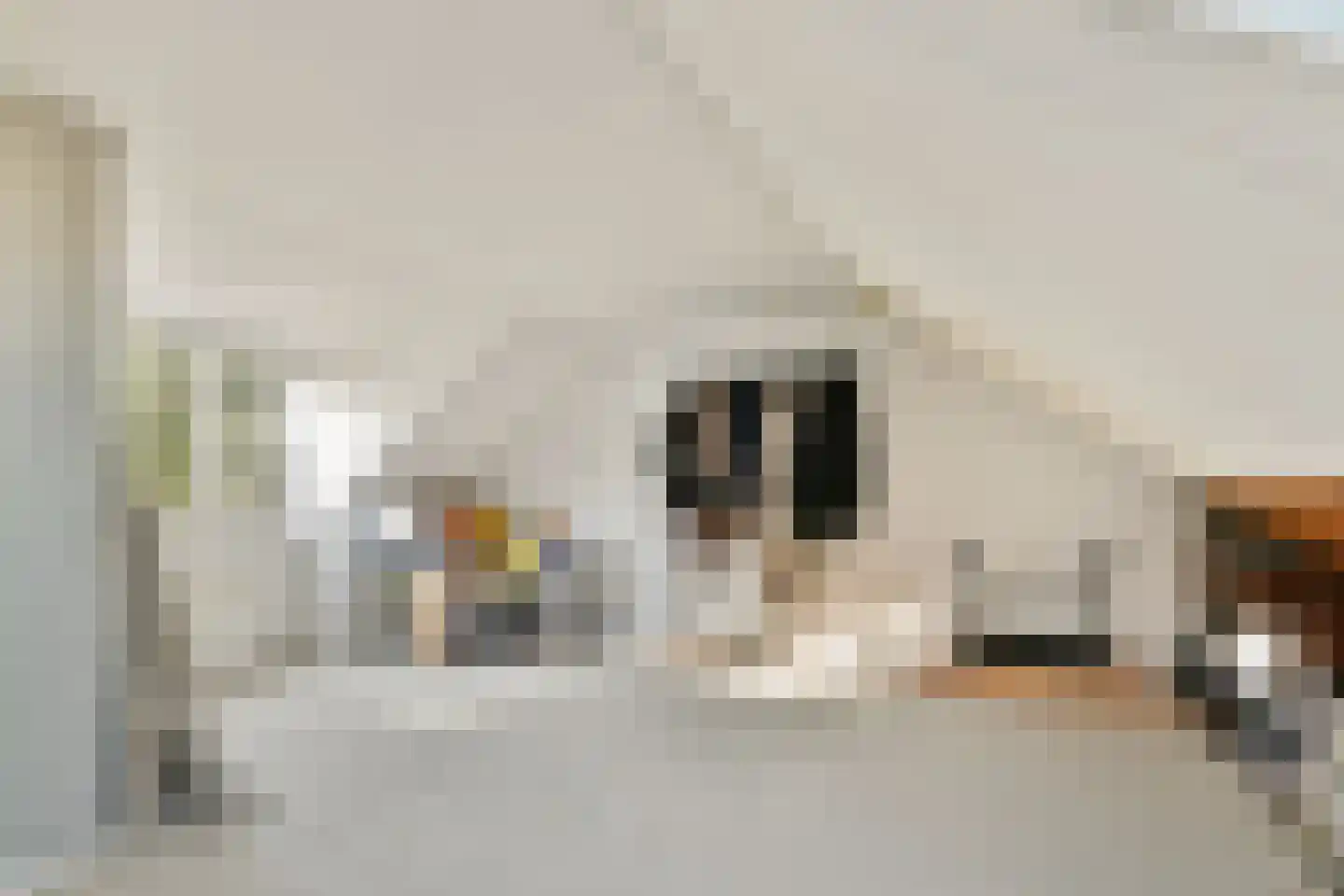 Andromedaring 4 Dordrecht thumbnail 23