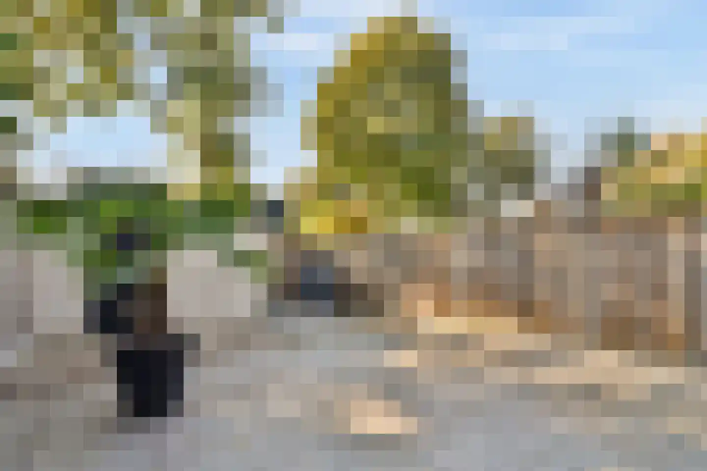Andromedaring 4 Dordrecht thumbnail 26