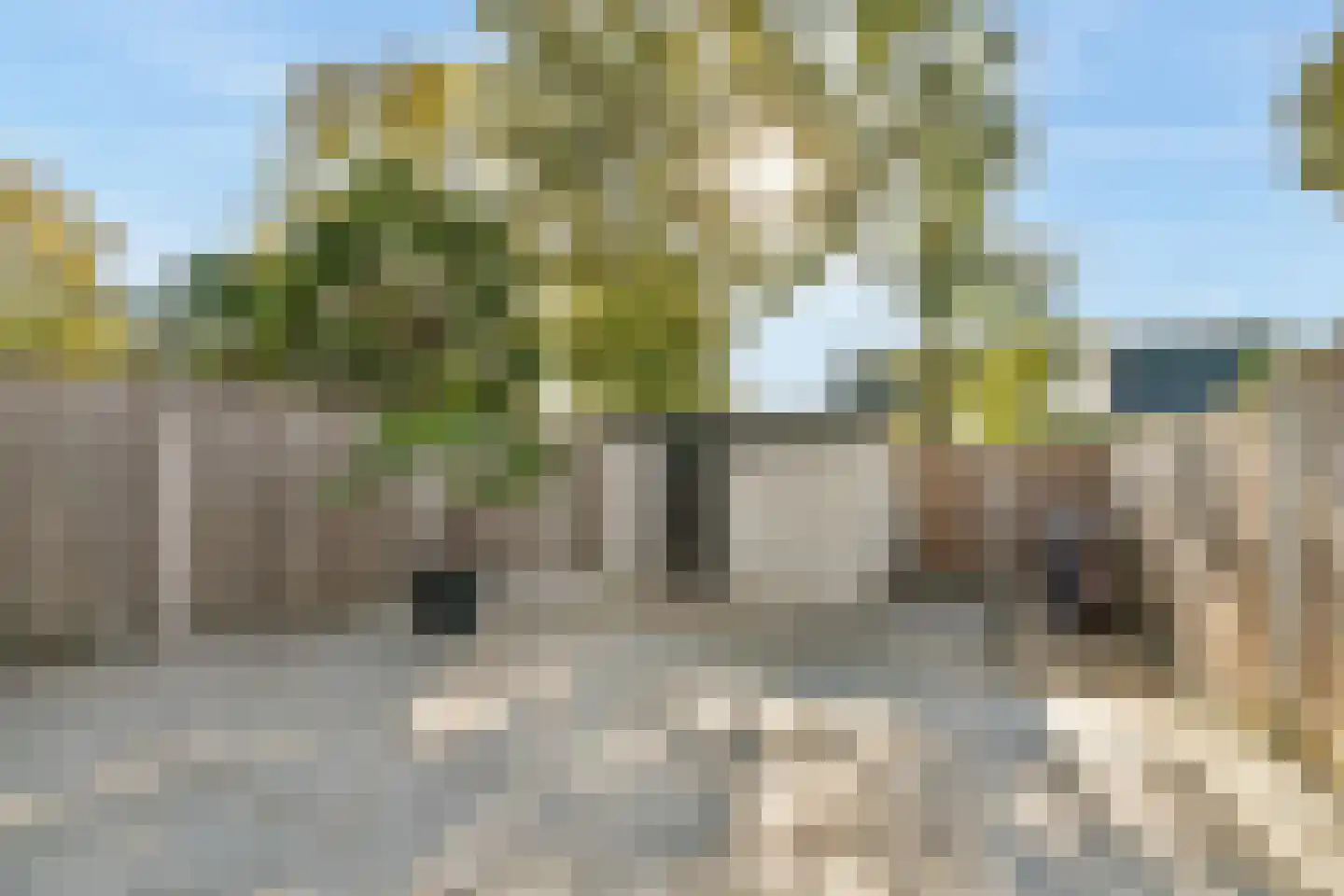 Andromedaring 4 Dordrecht thumbnail 5