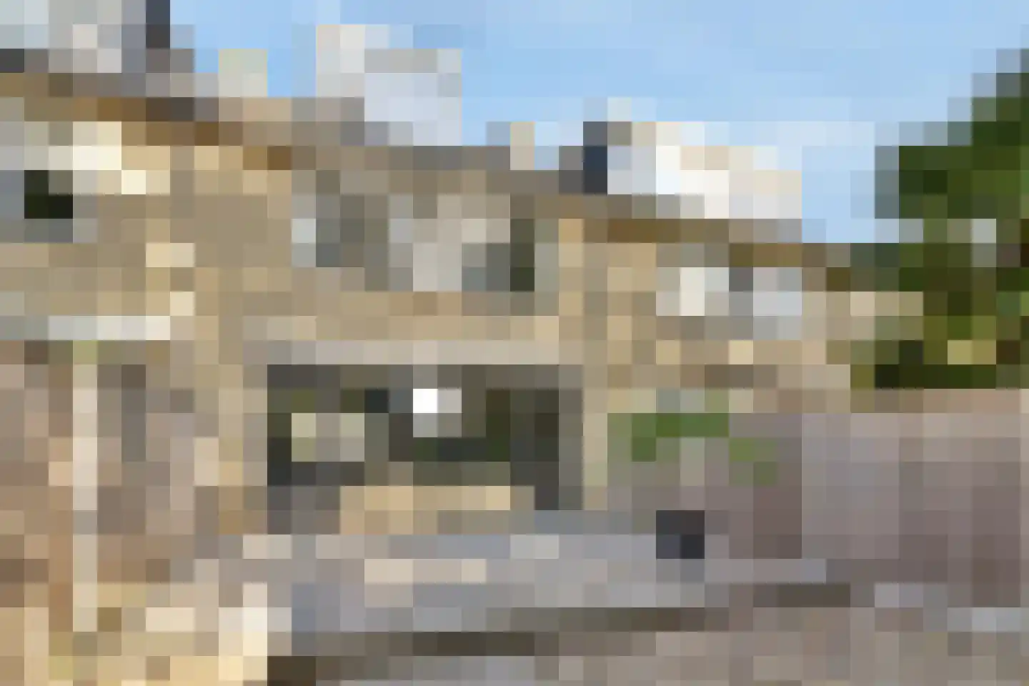 Andromedaring 4 Dordrecht thumbnail 6