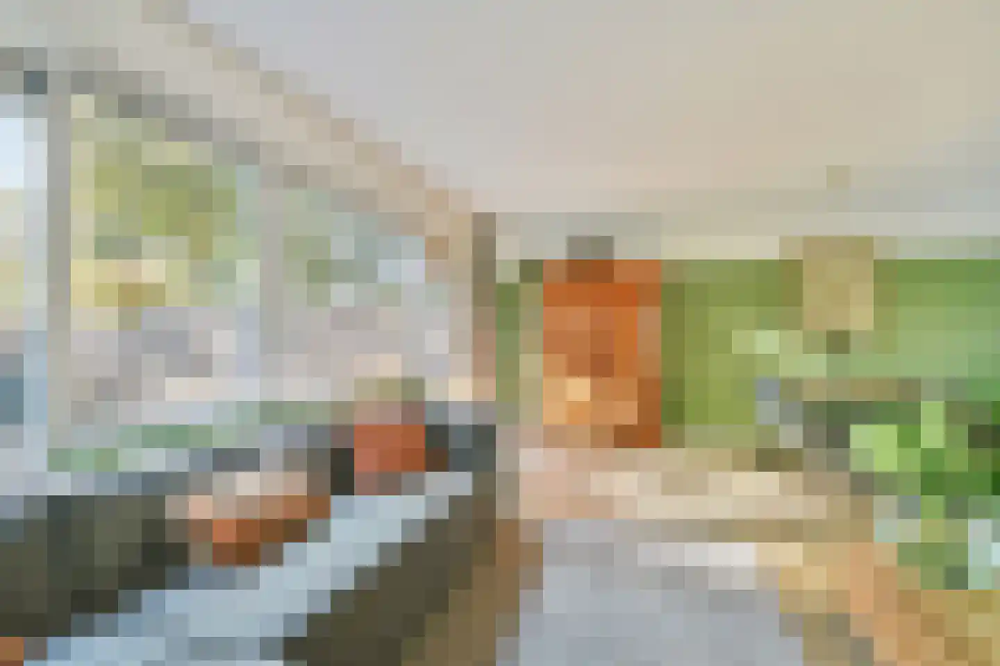 Andromedaring 4 Dordrecht thumbnail 9