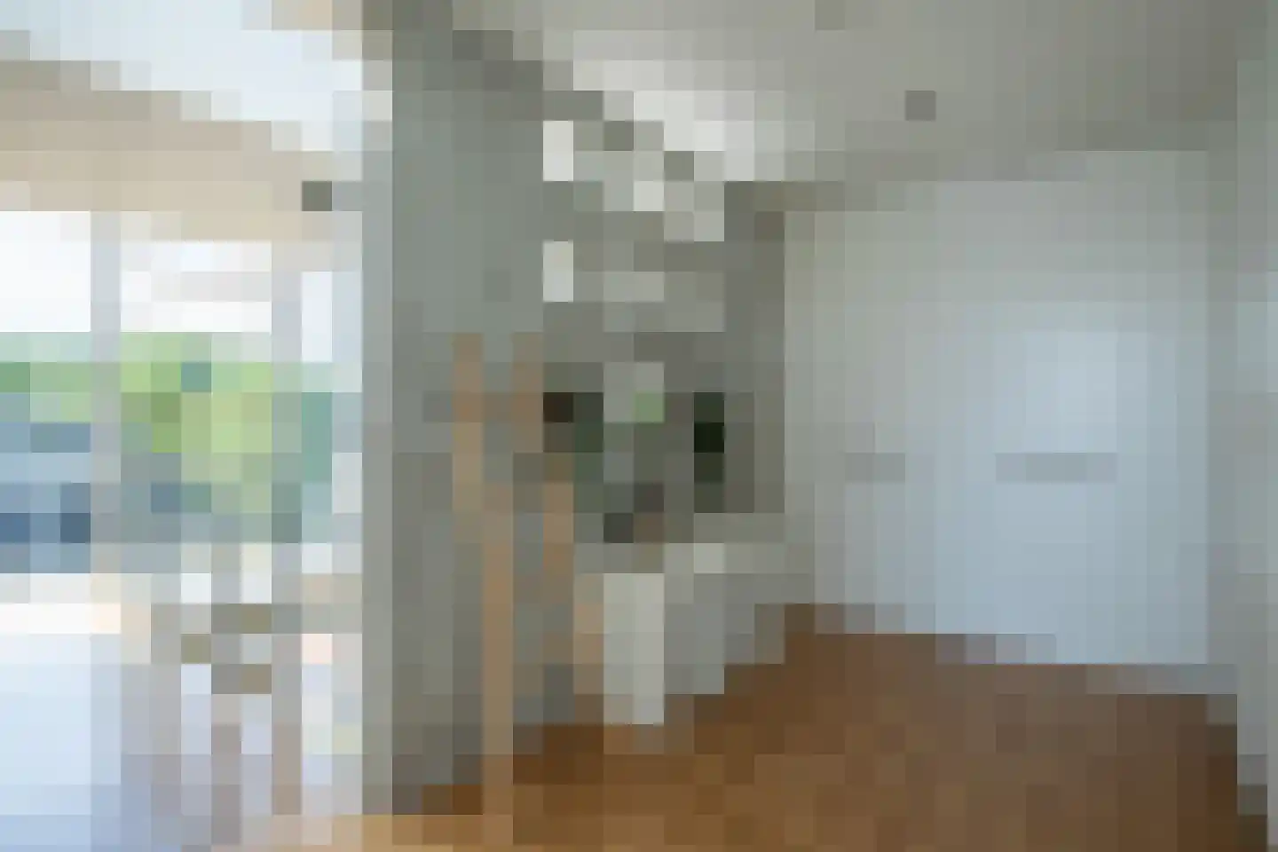 Andromedasingel 13 Heerlen thumbnail 18