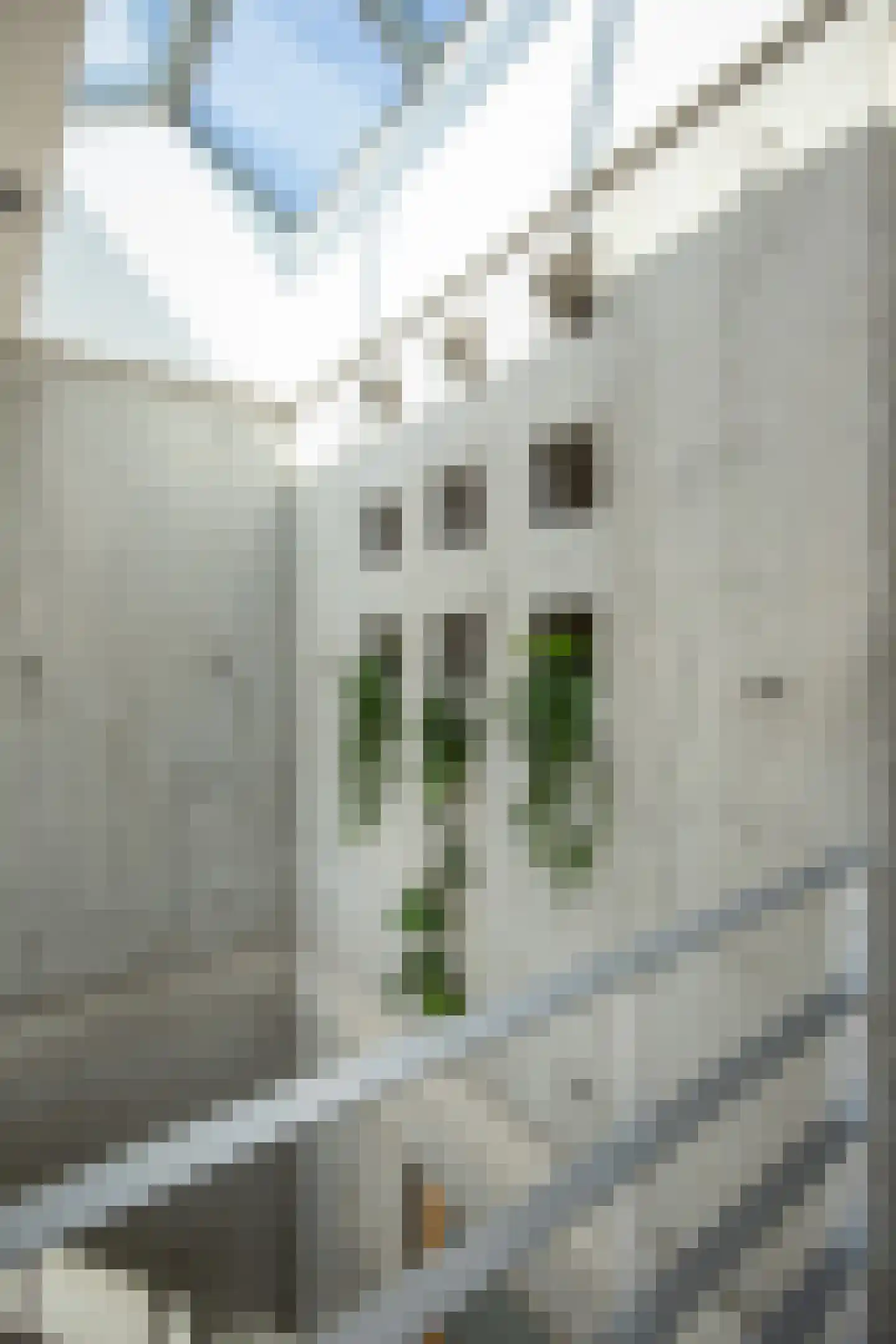 Andromedasingel 13 Heerlen thumbnail 19
