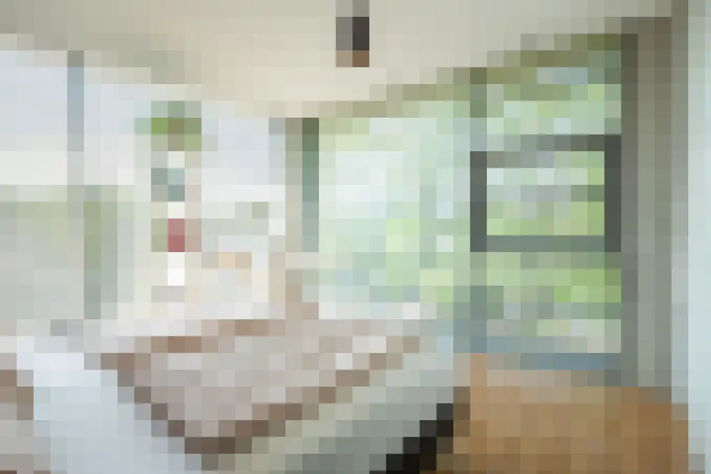 Andromedasingel 13 Heerlen thumbnail 24