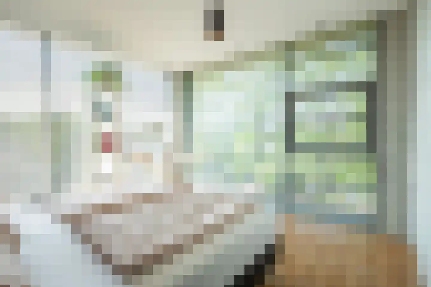 Andromedasingel 13 Heerlen thumbnail 24