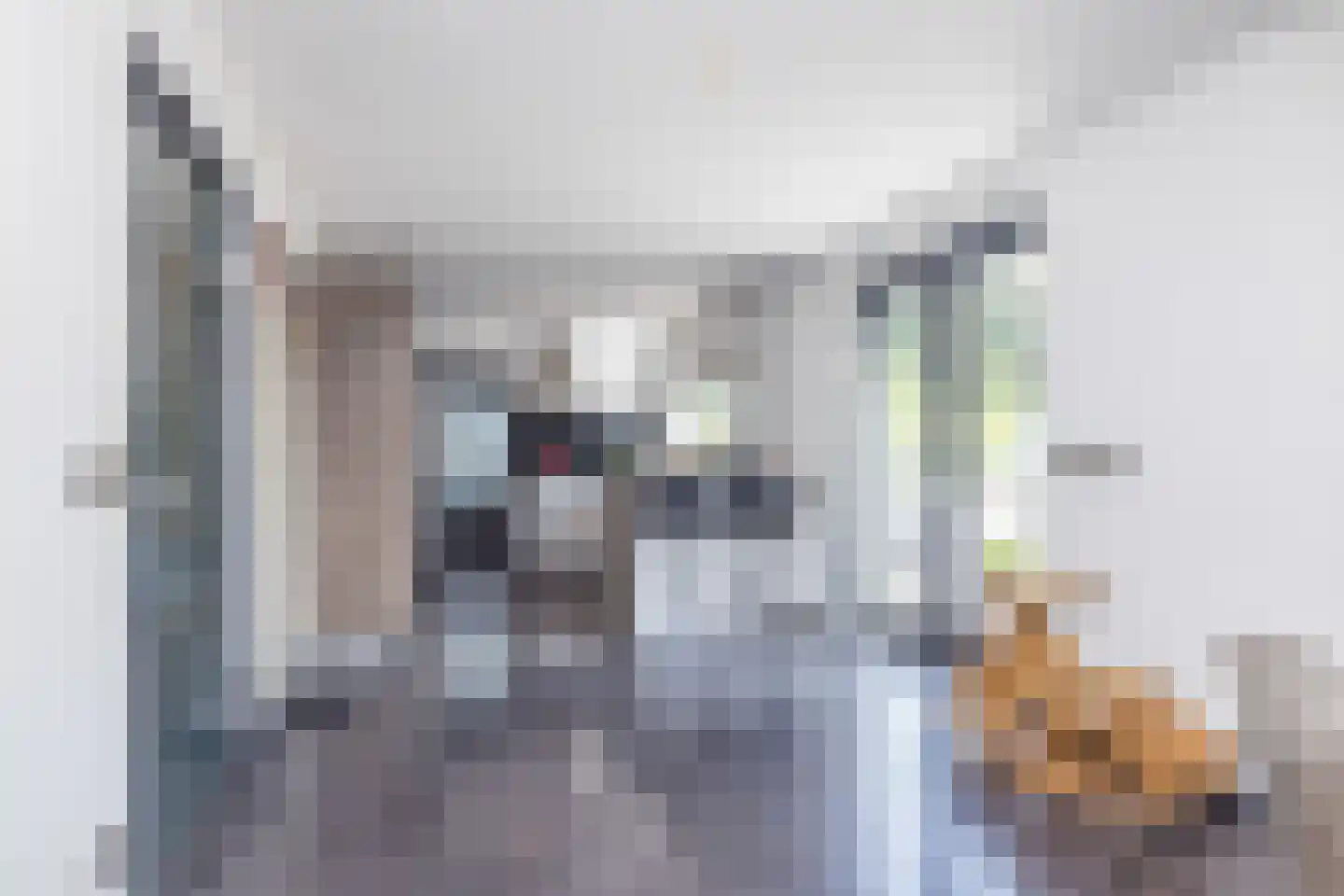 Andromedasingel 22 Heerlen thumbnail 17