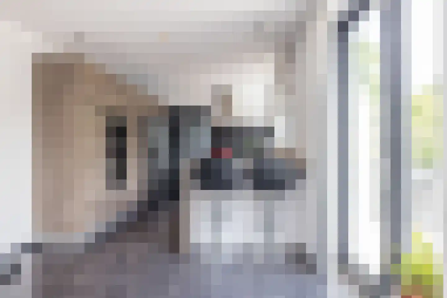 Andromedasingel 22 Heerlen thumbnail 18