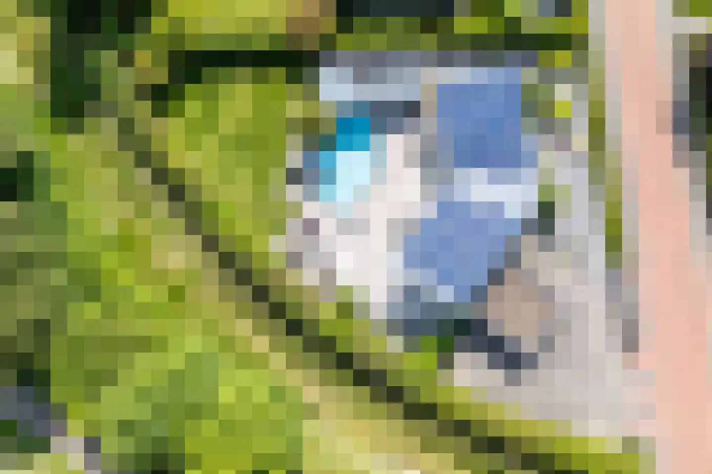 Andromedasingel 22 Heerlen thumbnail 43