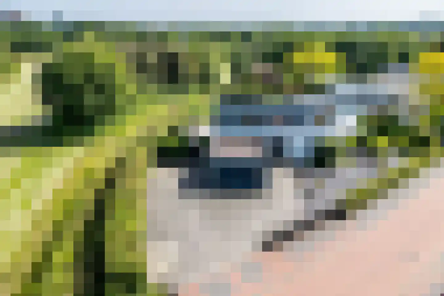 Andromedasingel 22 Heerlen thumbnail 45