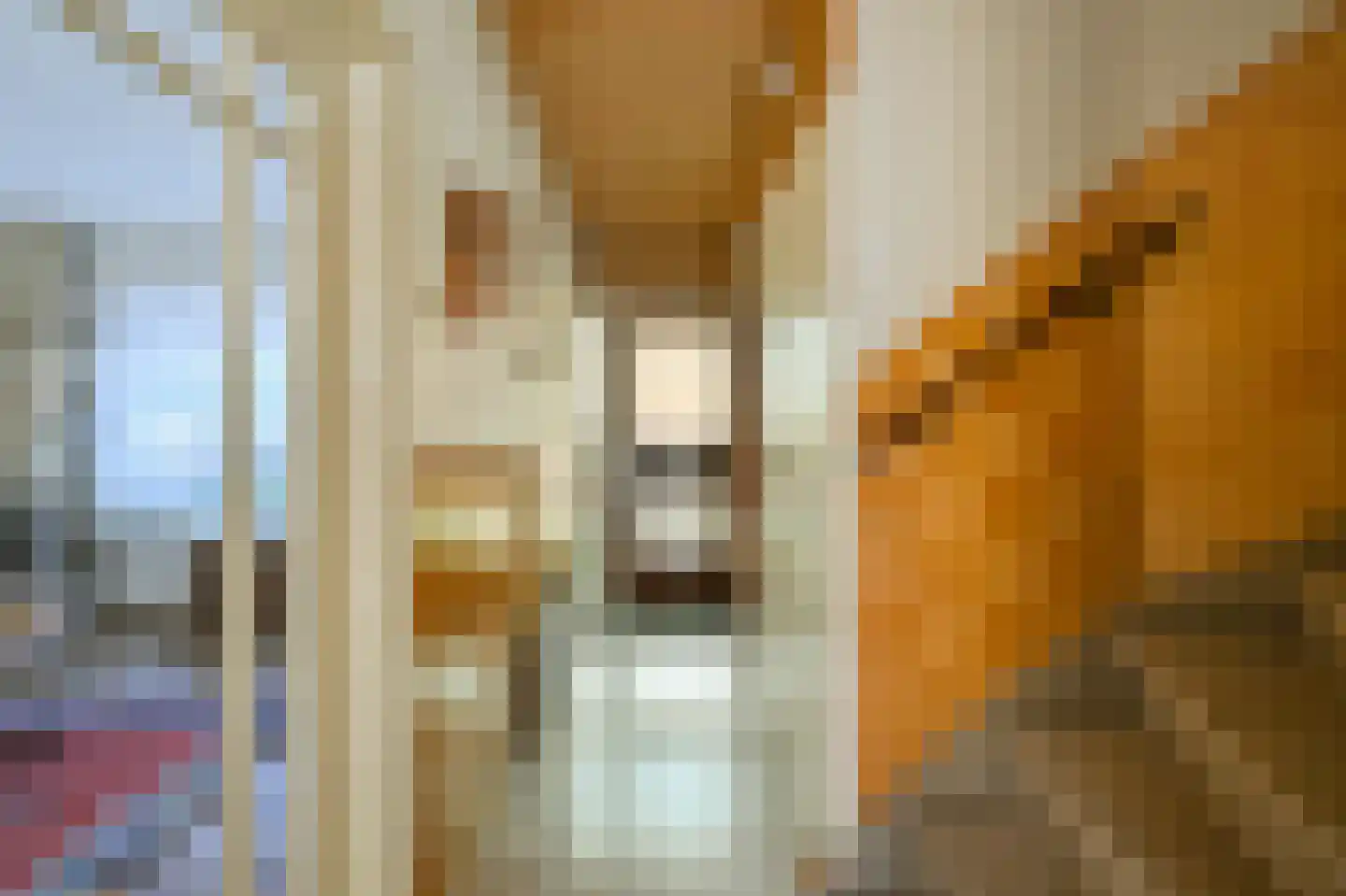 Andromedastraat 27 IJmuiden thumbnail 20