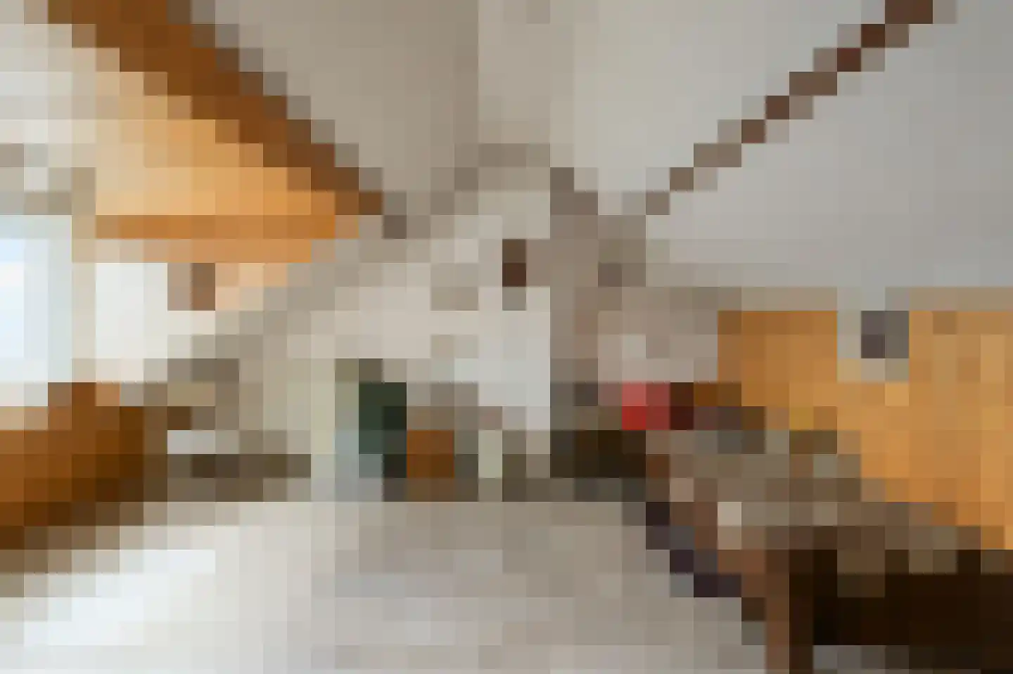 Andromedastraat 27 IJmuiden thumbnail 34
