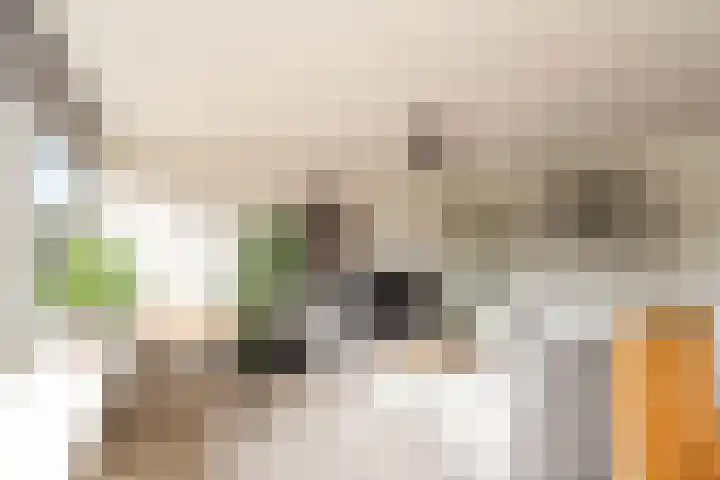 Androsdreef 100 Utrecht thumbnail 10