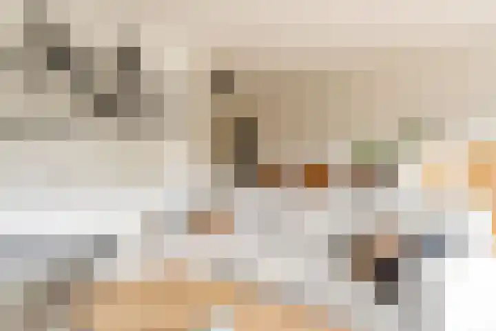 Androsdreef 100 Utrecht thumbnail 11